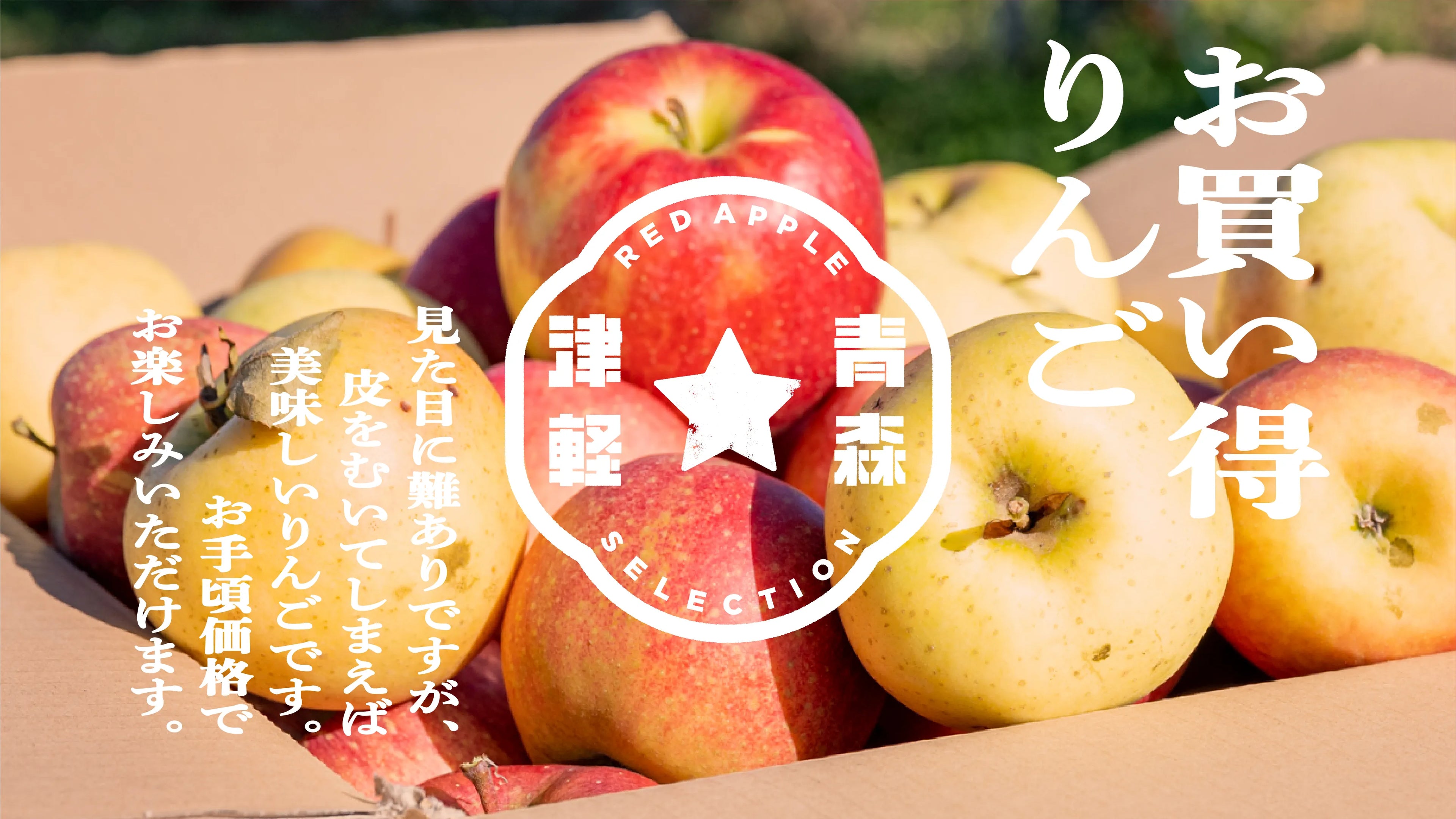 お買い得 りんご 見た目に難ありですが、皮を剥いてしまえばおいしいりんごです。お手頃価格でお楽しみいただけます。
