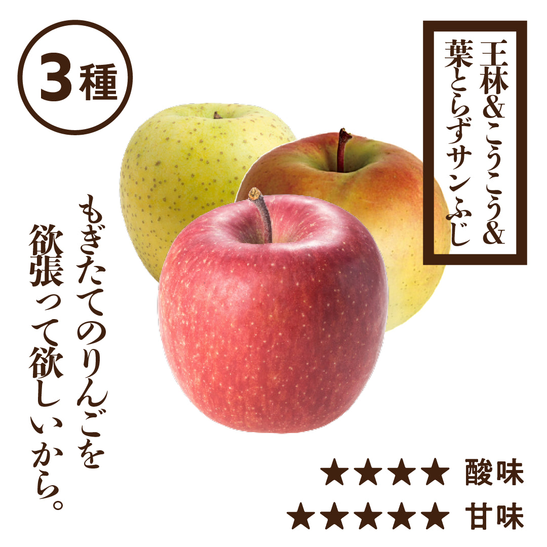 プレミアム3種詰め合わせ（ふじ、王林、こうこう） | 産地直送通販