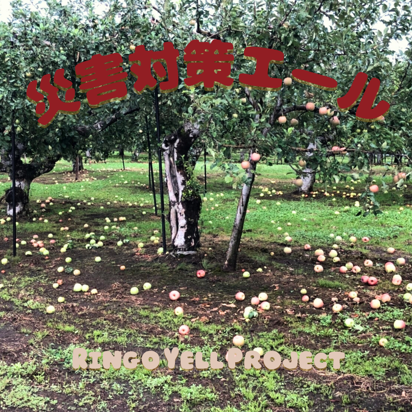 災害対策エール【りんごエールプロジェクト】