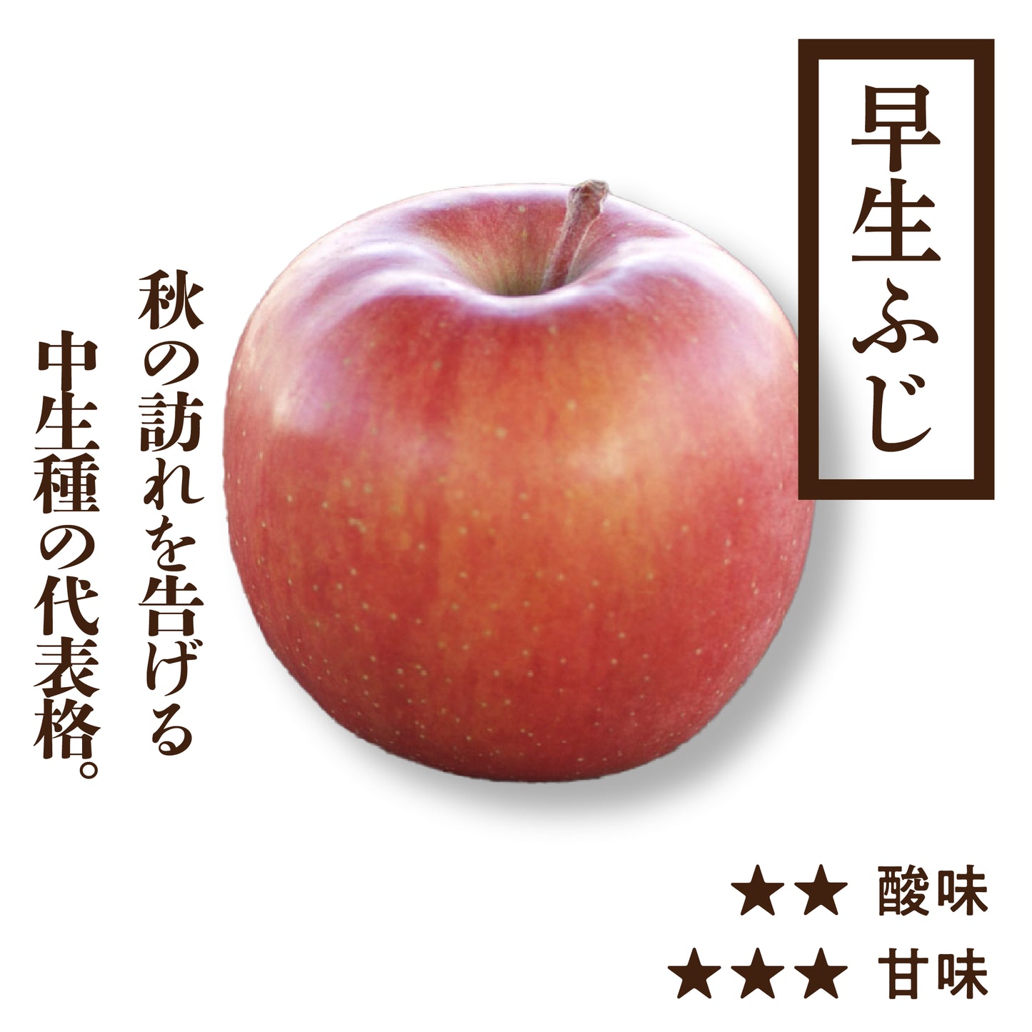 早生ふじ