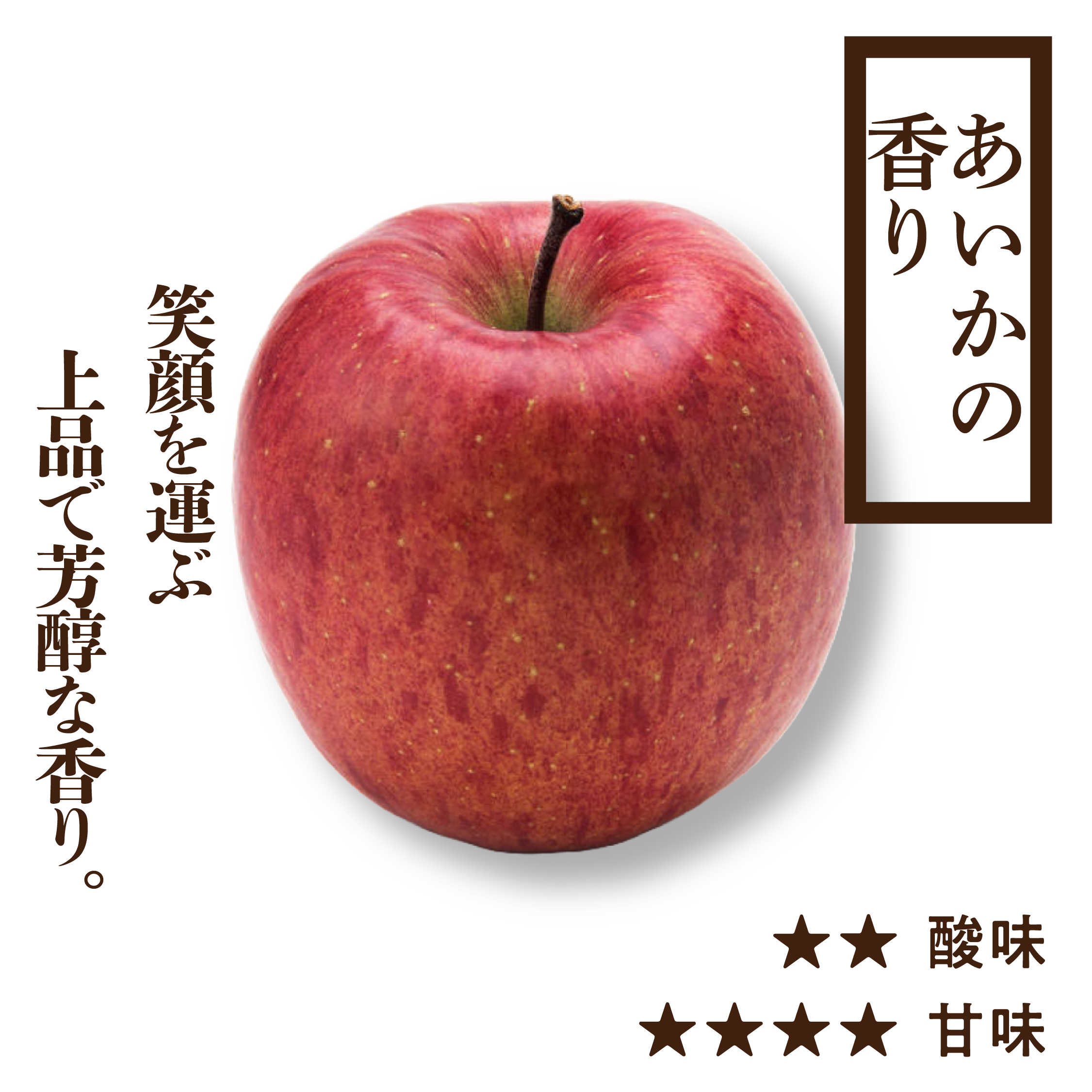 りんご　0507 贈答用 あいかの香り | 産地直送通販 | 青森りんご | RED APPLE