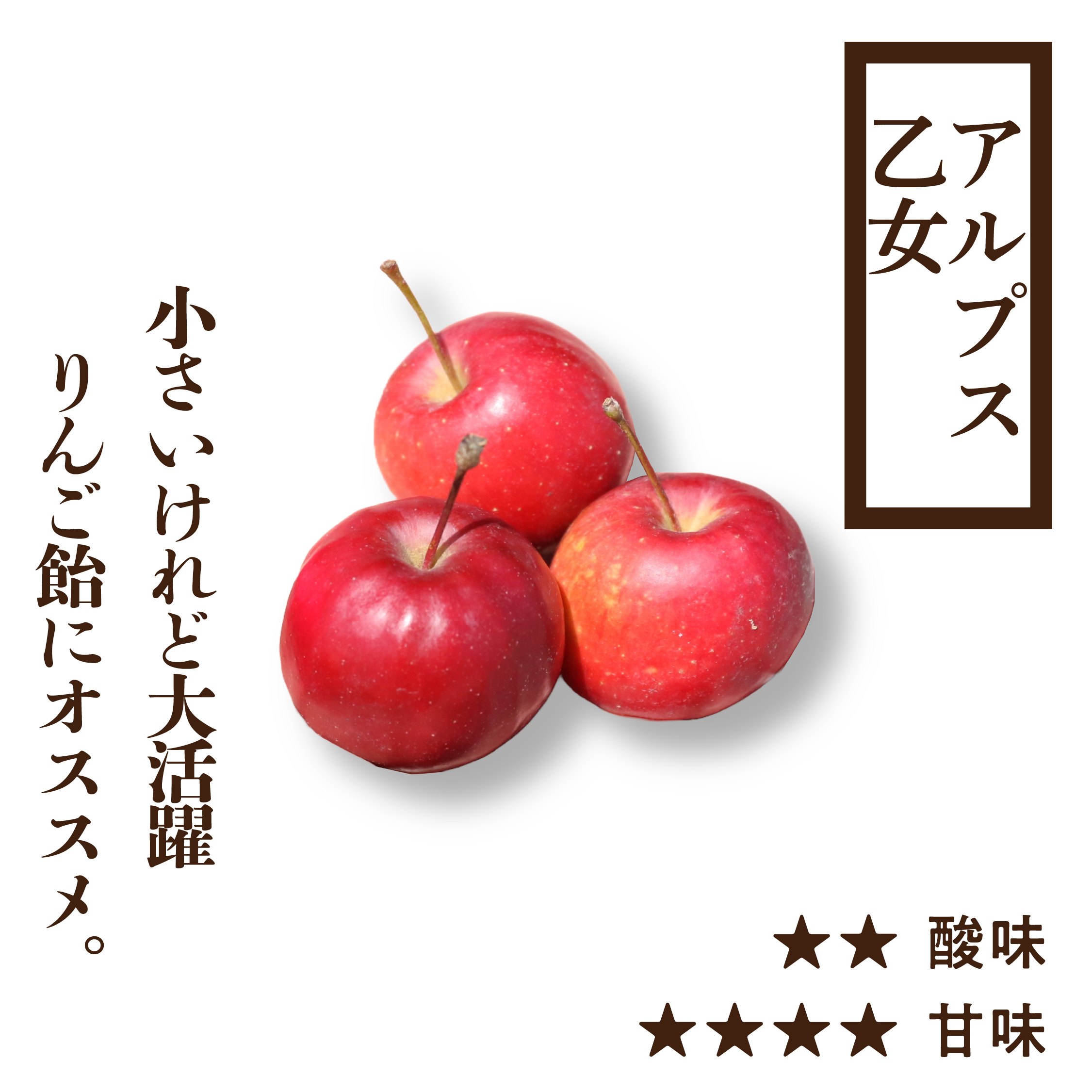 アルプス乙女 | 産地直送通販 | 青森りんご | RED APPLE（レッド