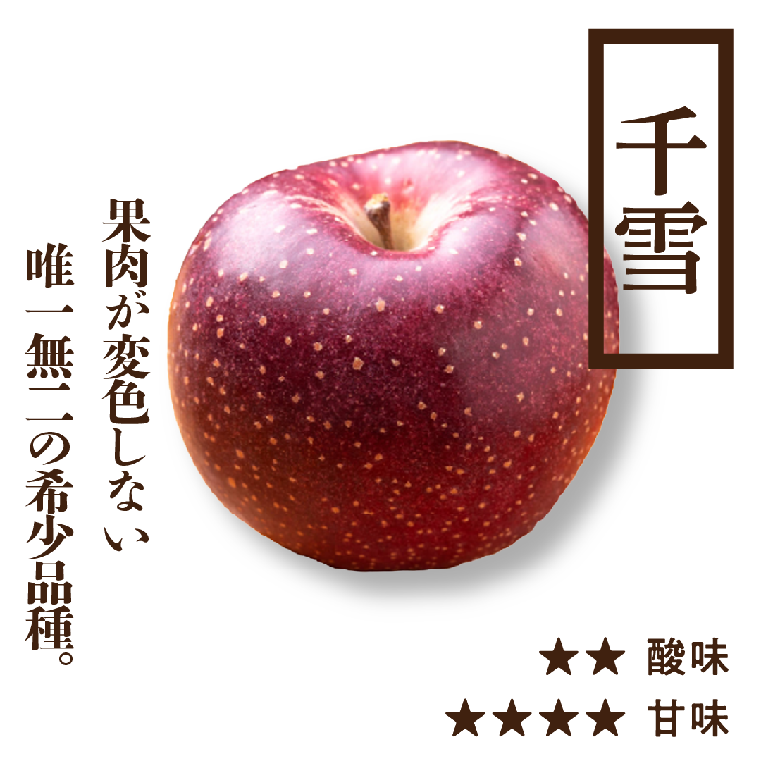 千雪(ちゆき) | 希少品種 |産地直送通販 | 青森りんご | RED APPLE 千雪(ちゆき) | 希少品種 |産地直送通販 | 青森りんご | RED APPLE