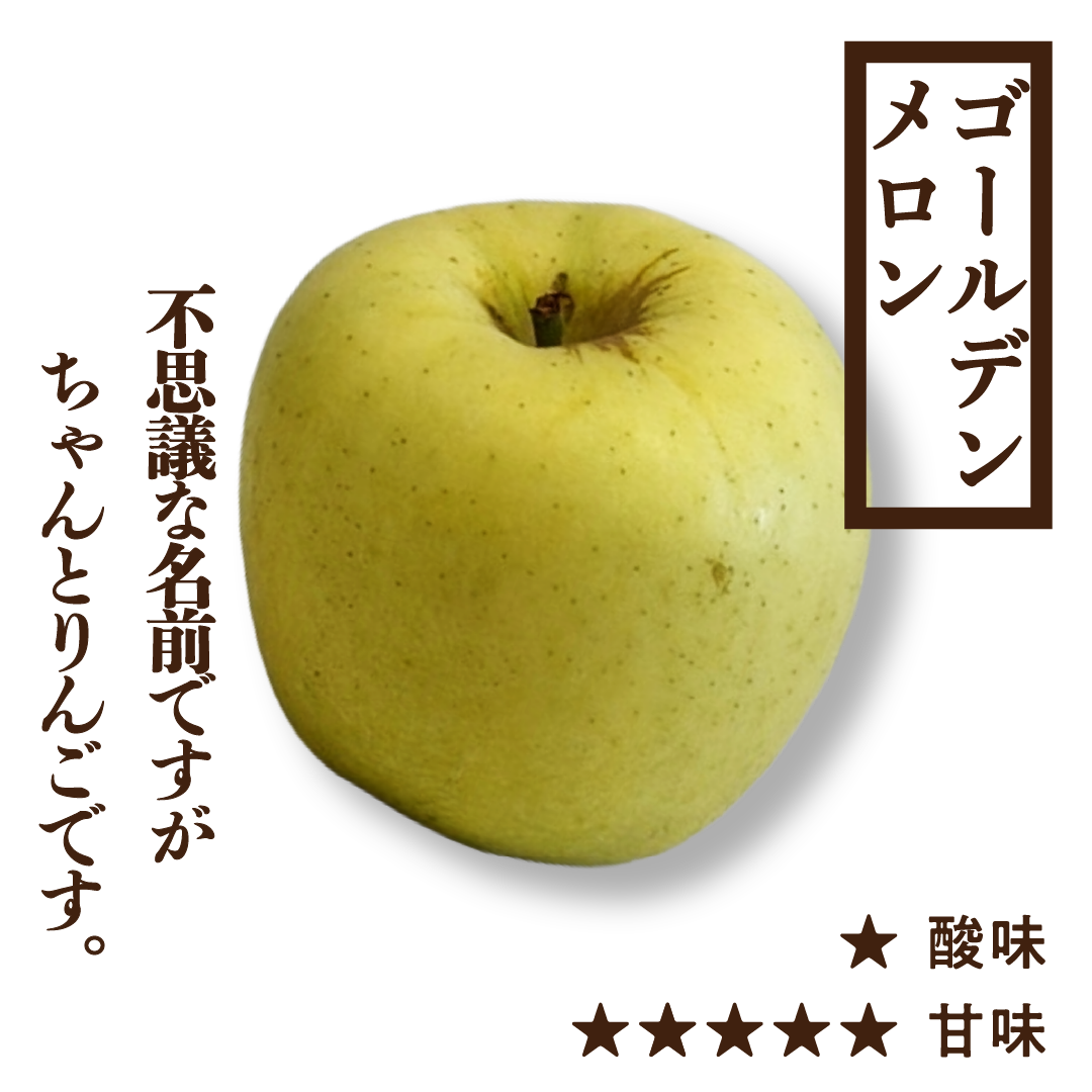 りんご ゴールデンメロン | 産地直送通販 | 青森りんご | RED APPLE（レッド