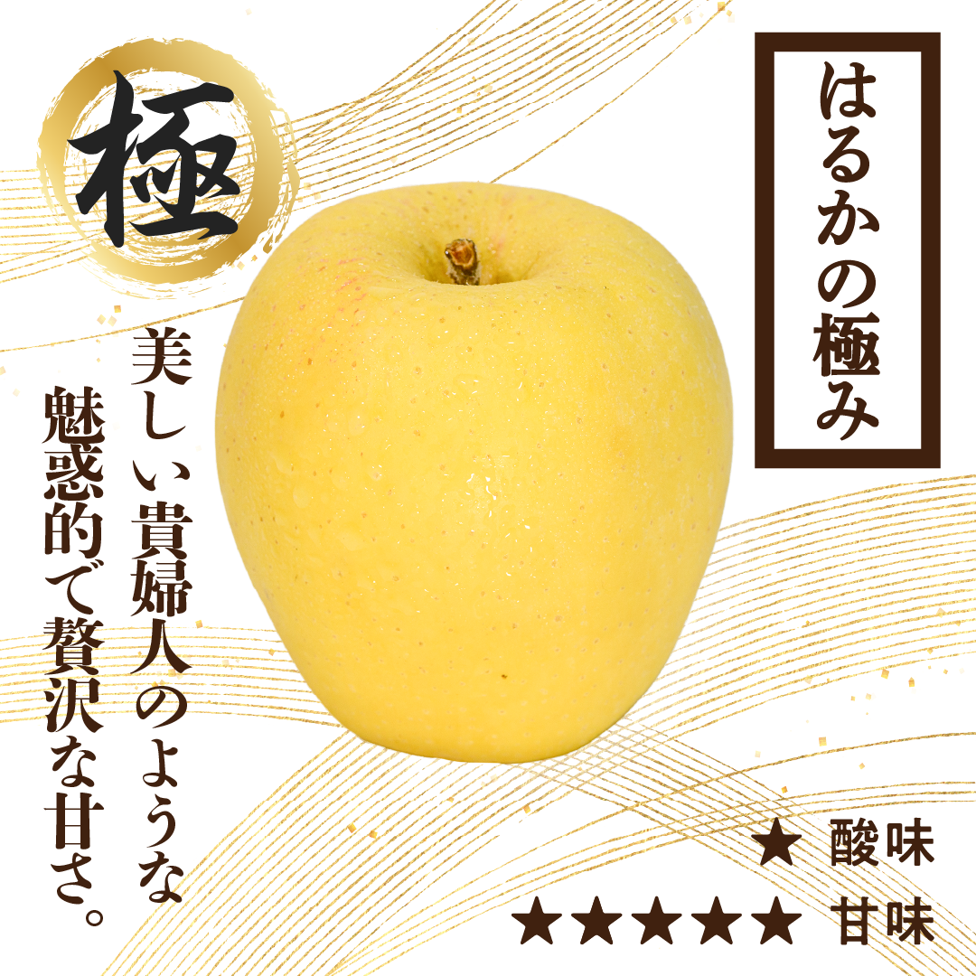 はるかの極み | 産地直送通販 | 青森りんご | RED APPLE（レッド
