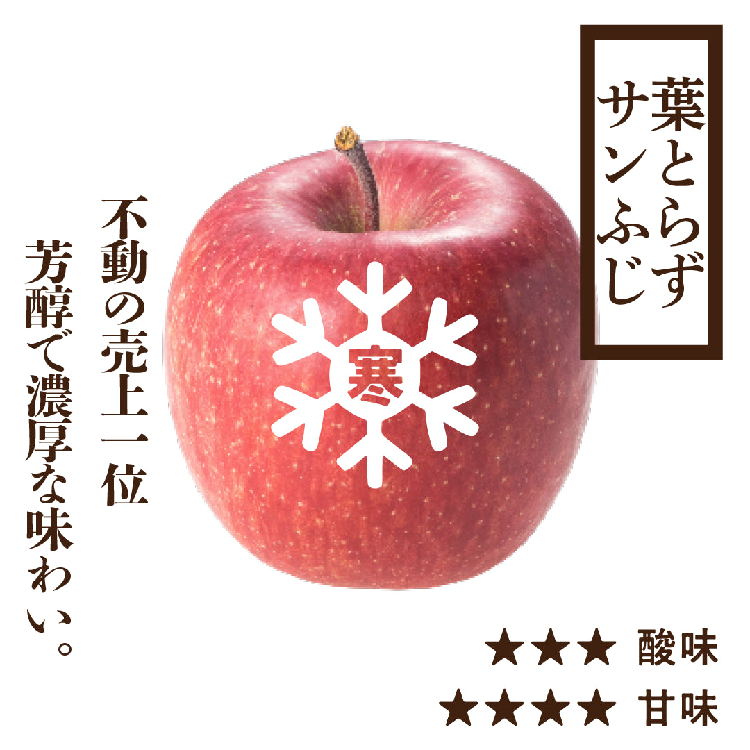寒じめ 葉とらずサンふじ | 産地直送通販 | 青森りんご | RED APPLE