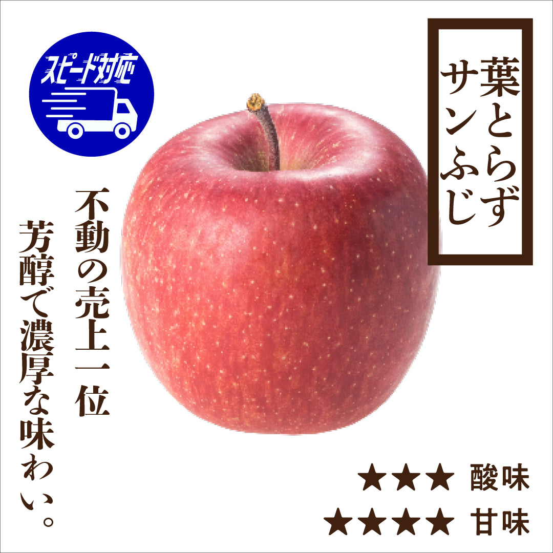 お急ぎ便】贈答用寒じめ葉とらずサンふじ | 産地直送通販 | 青森りんご