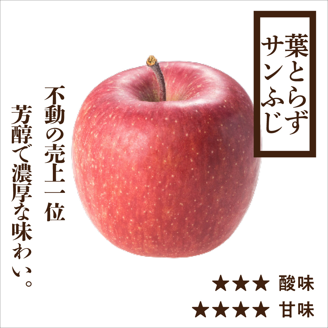 葉とらずサンふじ | 産地直送通販 | 青森りんご | RED APPLE（レッド