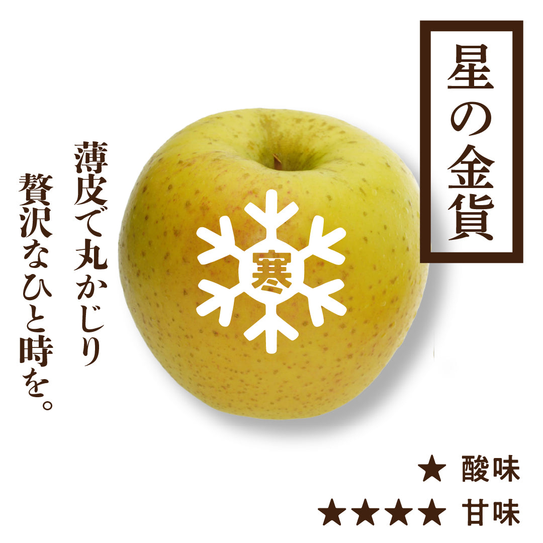 寒じめ 星の金貨 | 産地直送通販 | 青森りんご | RED APPLE（レッド