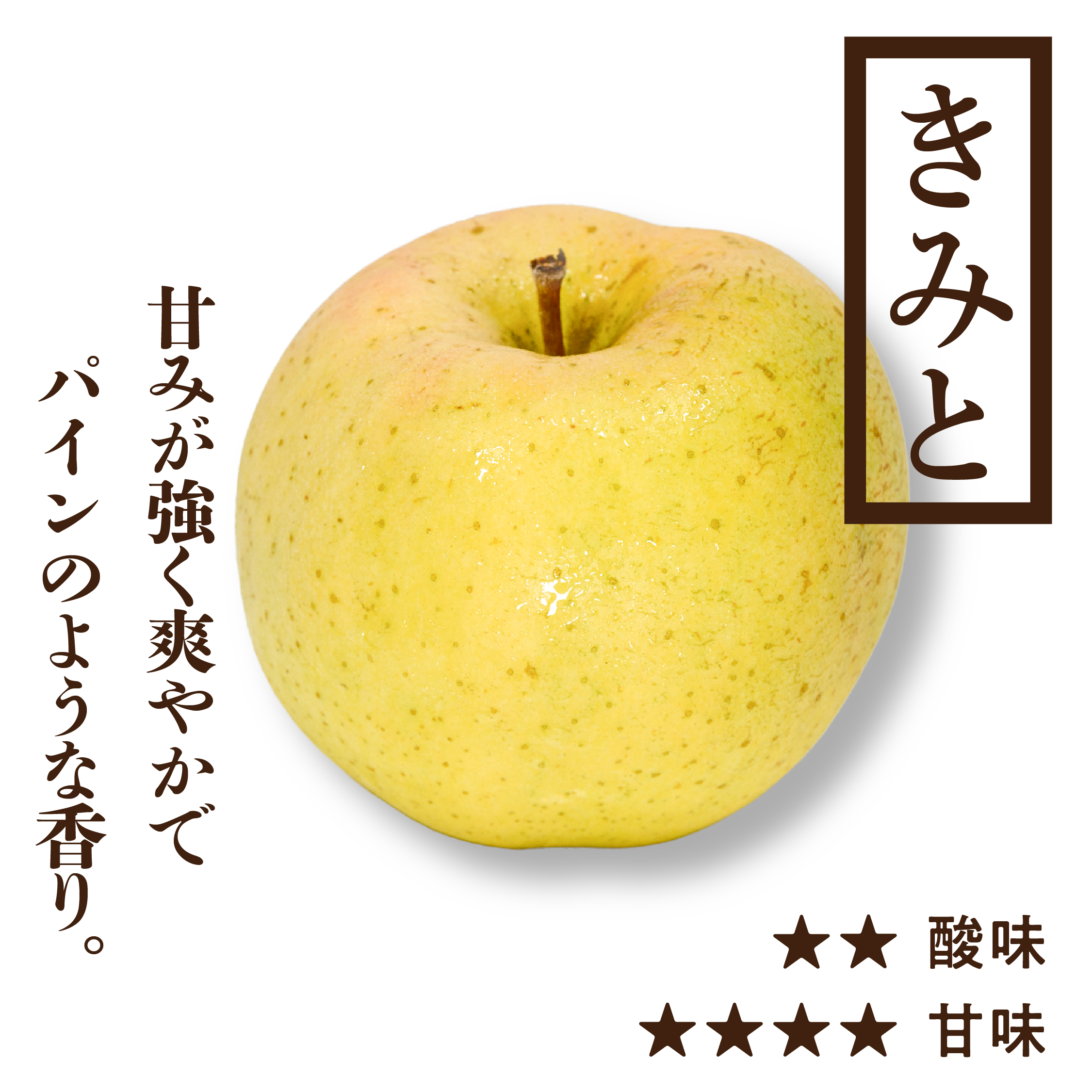 きみと | 産地直送通販 | 青森りんご | RED APPLE（レッドアップル