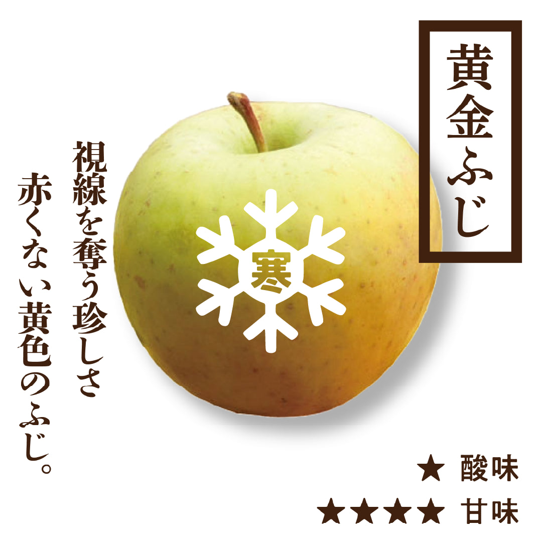 寒じめ 黄金ふじ | 産地直送通販 | 青森りんご | RED APPLE（レッド