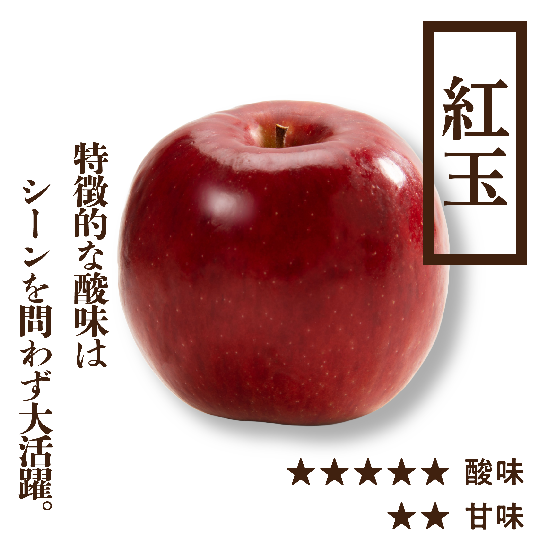 紅玉(こうぎょく) | 産地直送通販 | 青森りんご | RED APPLE（レッド