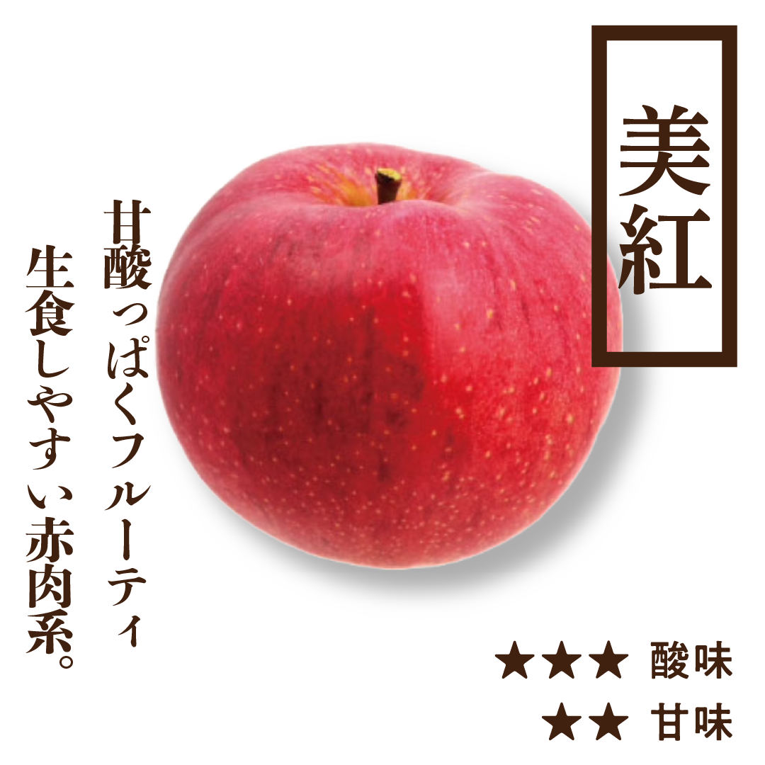 美紅(みく) | 産地直送通販 | 青森りんご | RED APPLE(レッドアップル 美紅(みく) | 産地直送通販 | 青森りんご | RED APPLE(レッドアップル