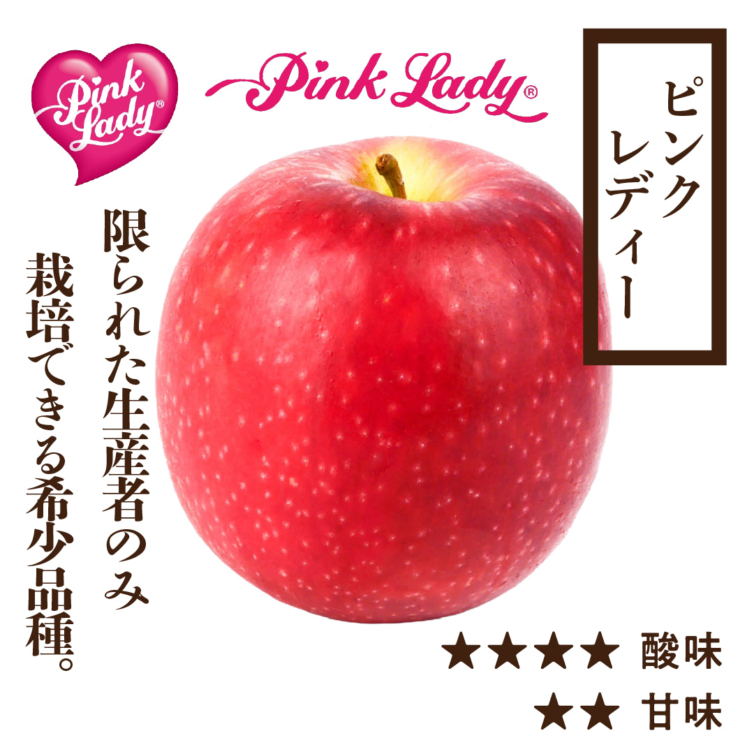 ピンクレディー |希少品種 | 産地直送通販 | 青森りんご | RED APPLE