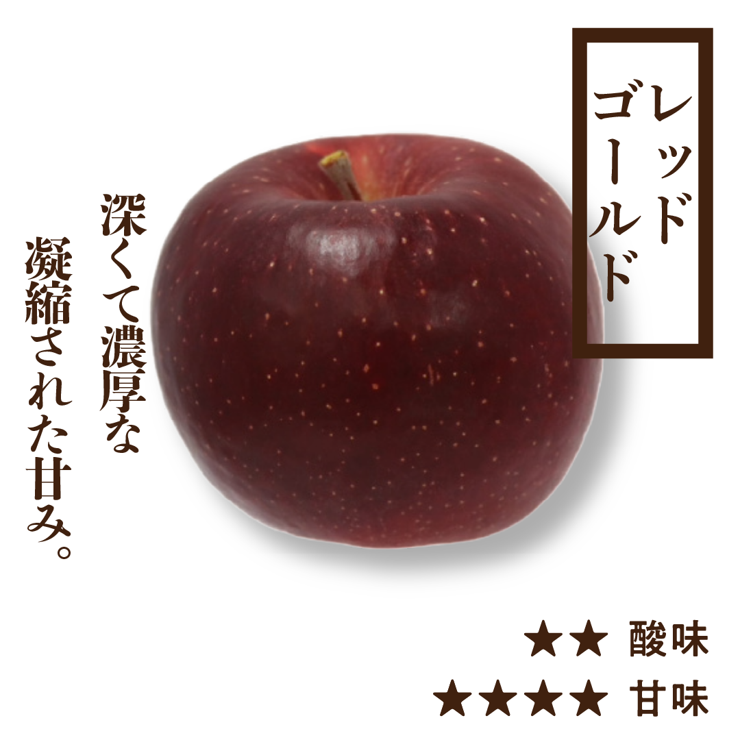 訳ありレッドゴールド