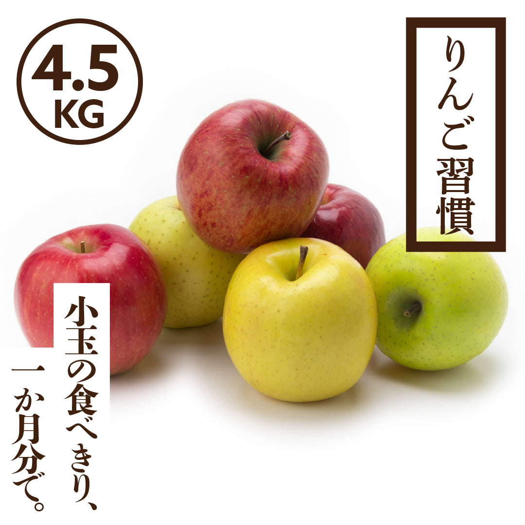 りんご習慣】シャキシャキ小玉りんごで毎日おいしく健康に
