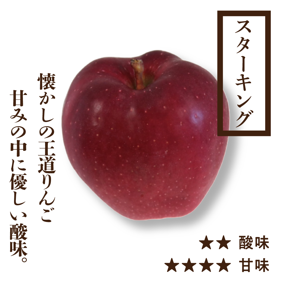 スターキング | 産地直送通販 | 青森りんご | RED APPLE（レッド
