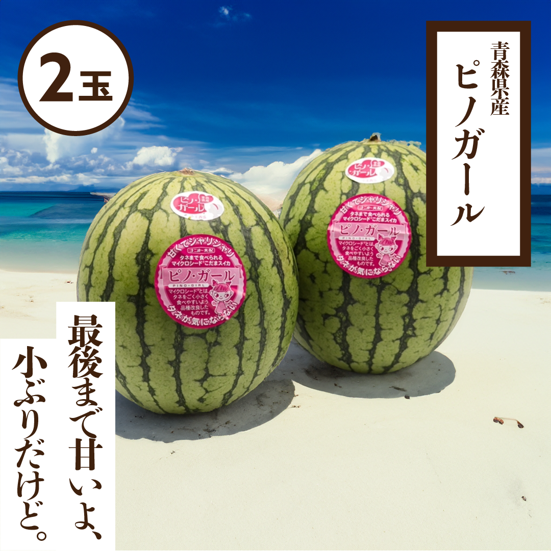 すいか ピノガール | 産地直送通販 | 青森の野菜 | RED APPLE（レッド