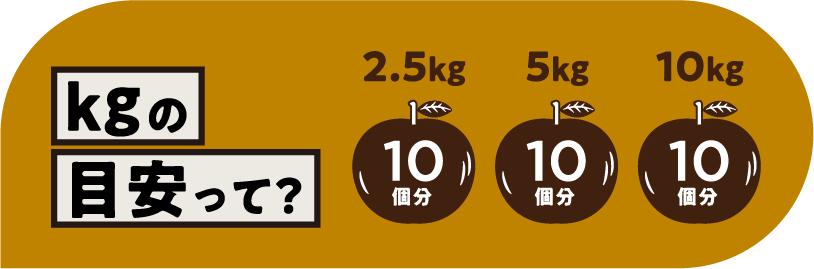 Liquid error (sections/custom-top-about line 32): invalid url input