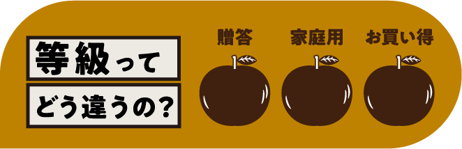 Liquid error (sections/custom-top-about line 32): invalid url input