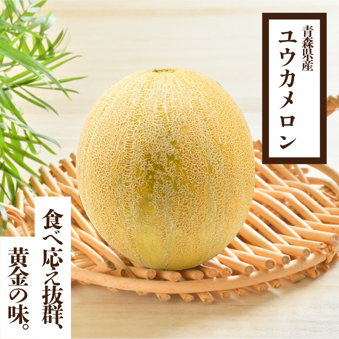 ユウカメロン 楽天市場】【ふるさと納税】幻のユウカメロン オリジナルBOX 2個