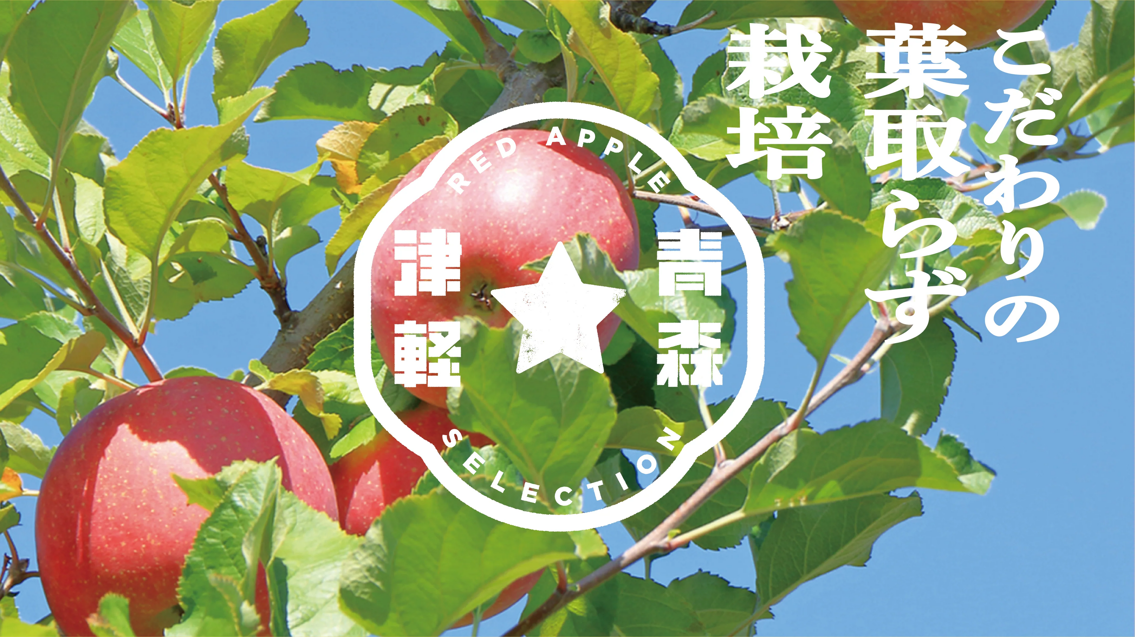葉とらず栽培