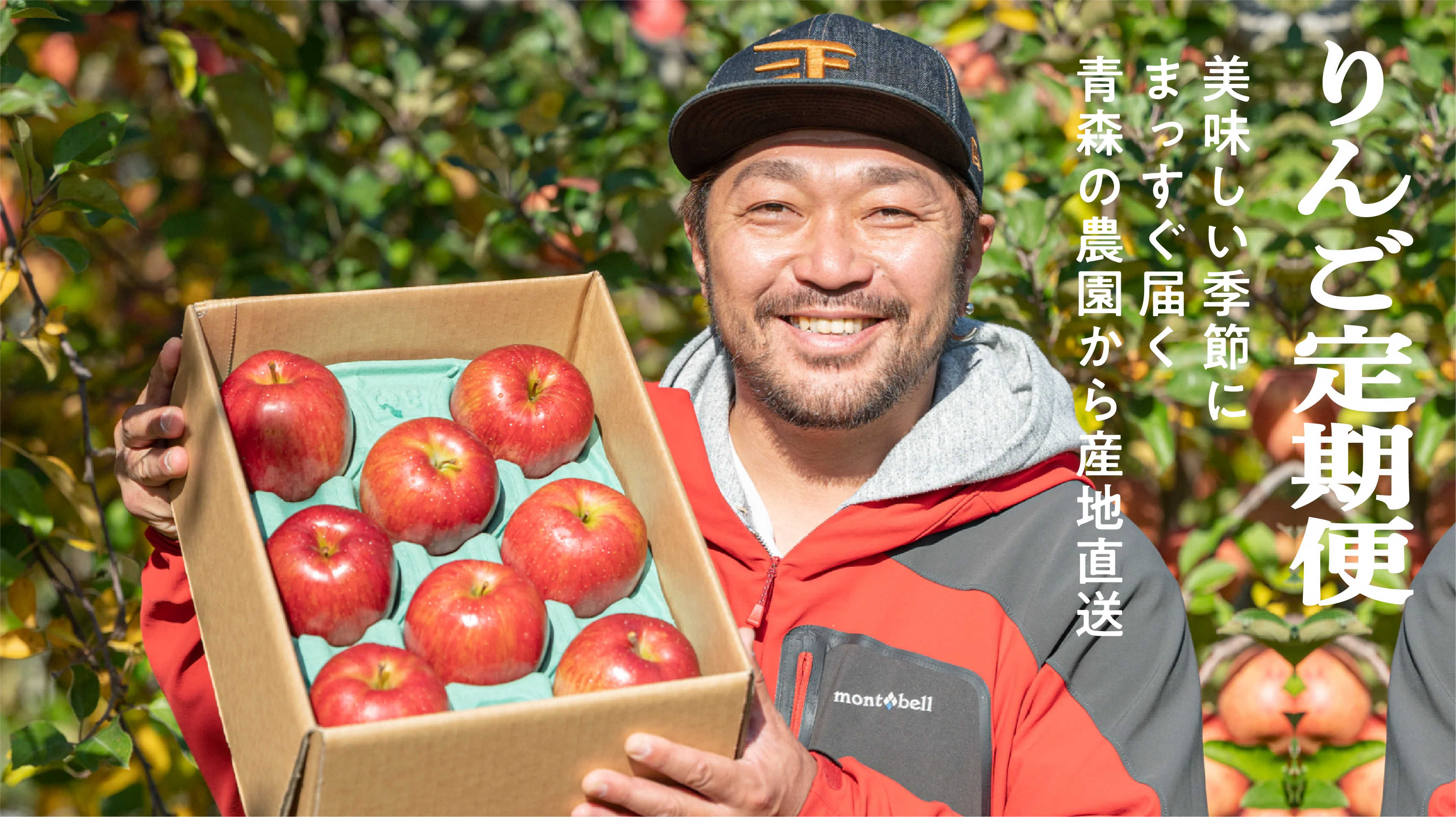 りんご定期便