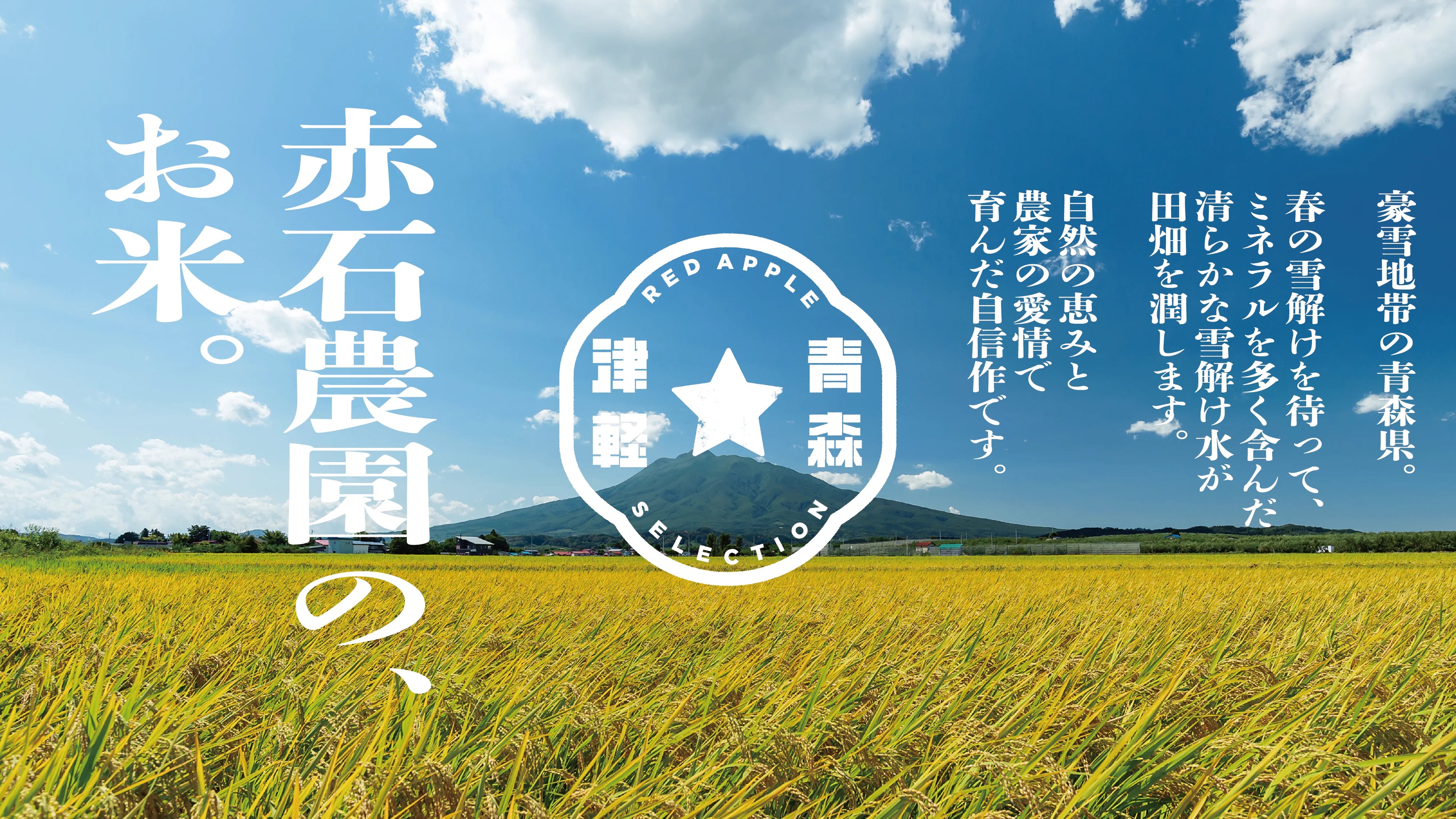 青森米