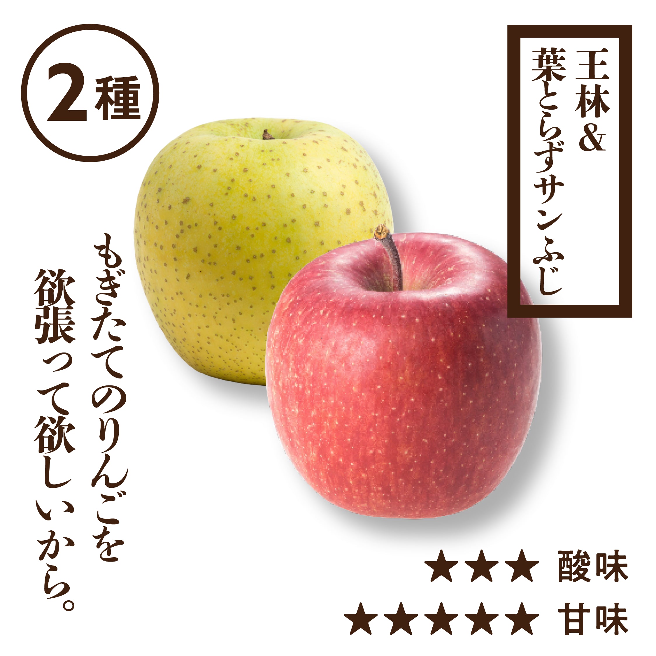 贈答用りんご – RED APPLE