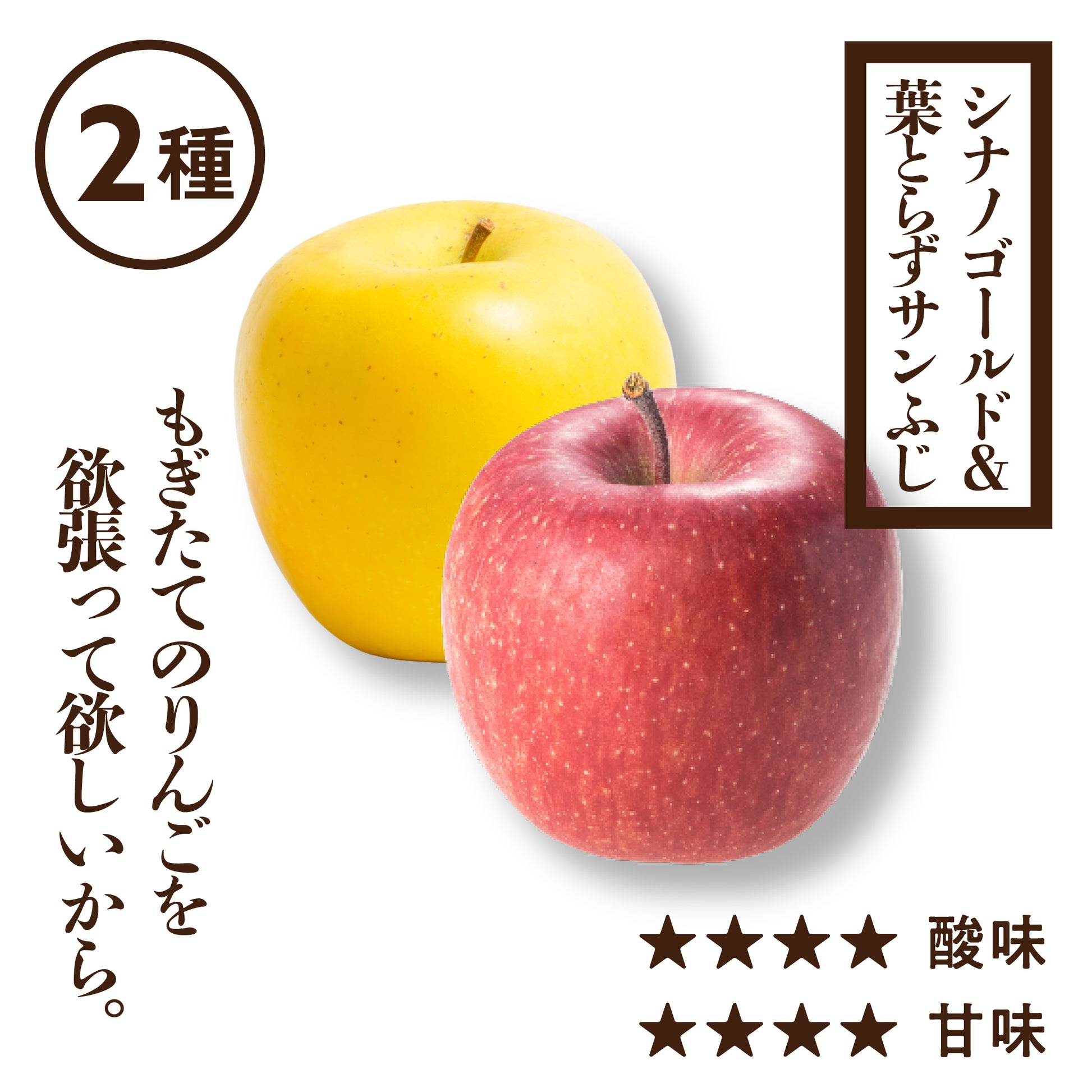 2種詰め合わせ(ふじ、シナノゴールド) | 産地直送通販 | 青森りんご 2種詰め合わせ(ふじ、シナノゴールド) | 産地直送通販 | 青森りんご