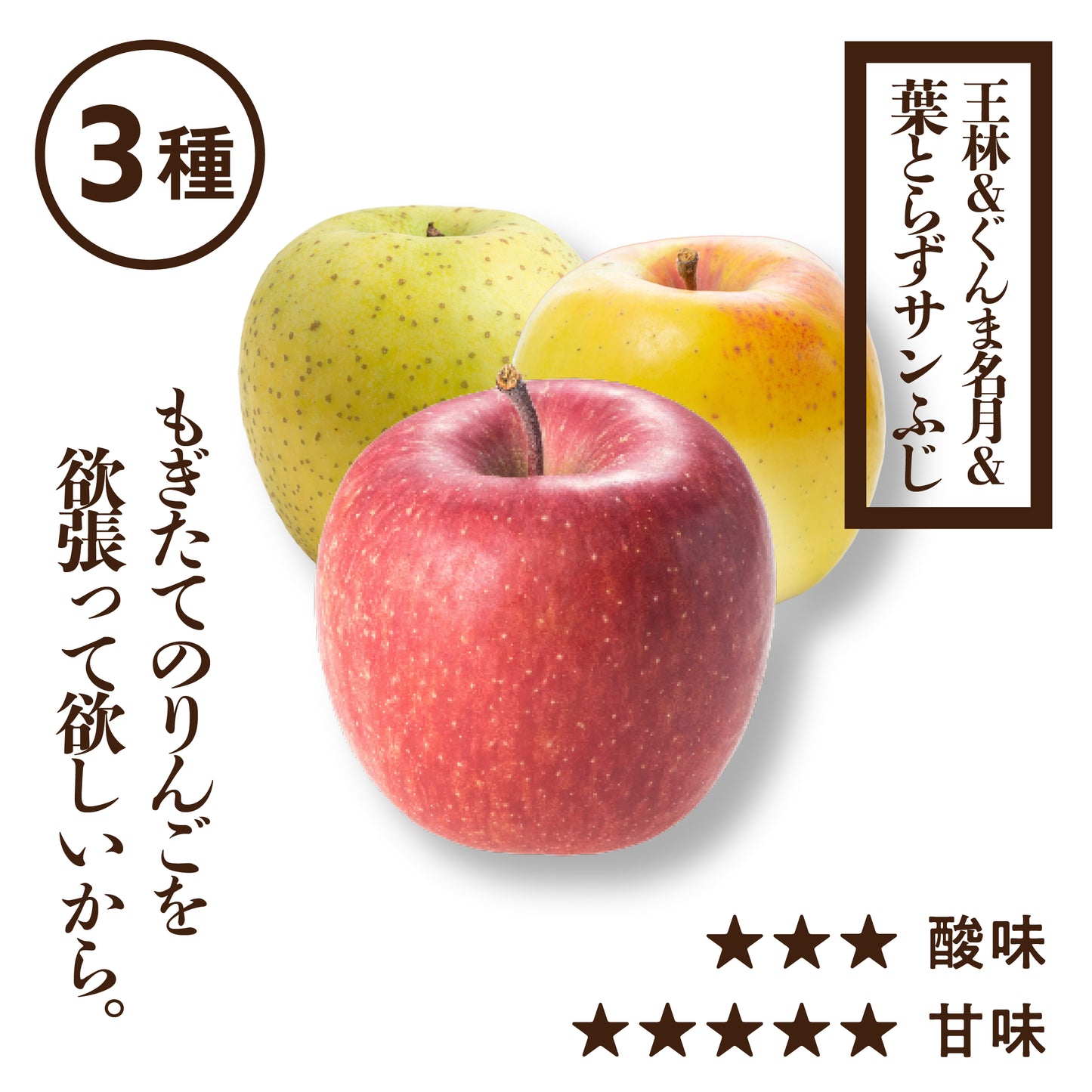 プレミアム葉とらずサンふじ&王林&ぐんま名月