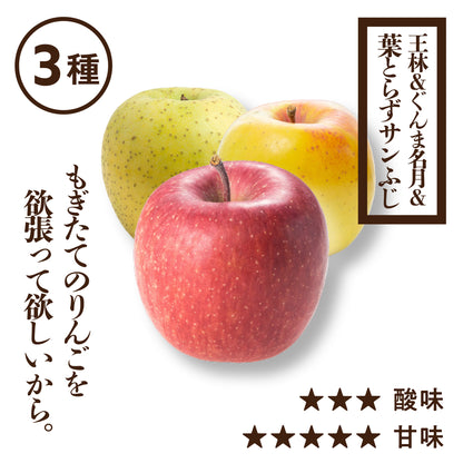 プレミアム葉とらずサンふじ&王林&ぐんま名月