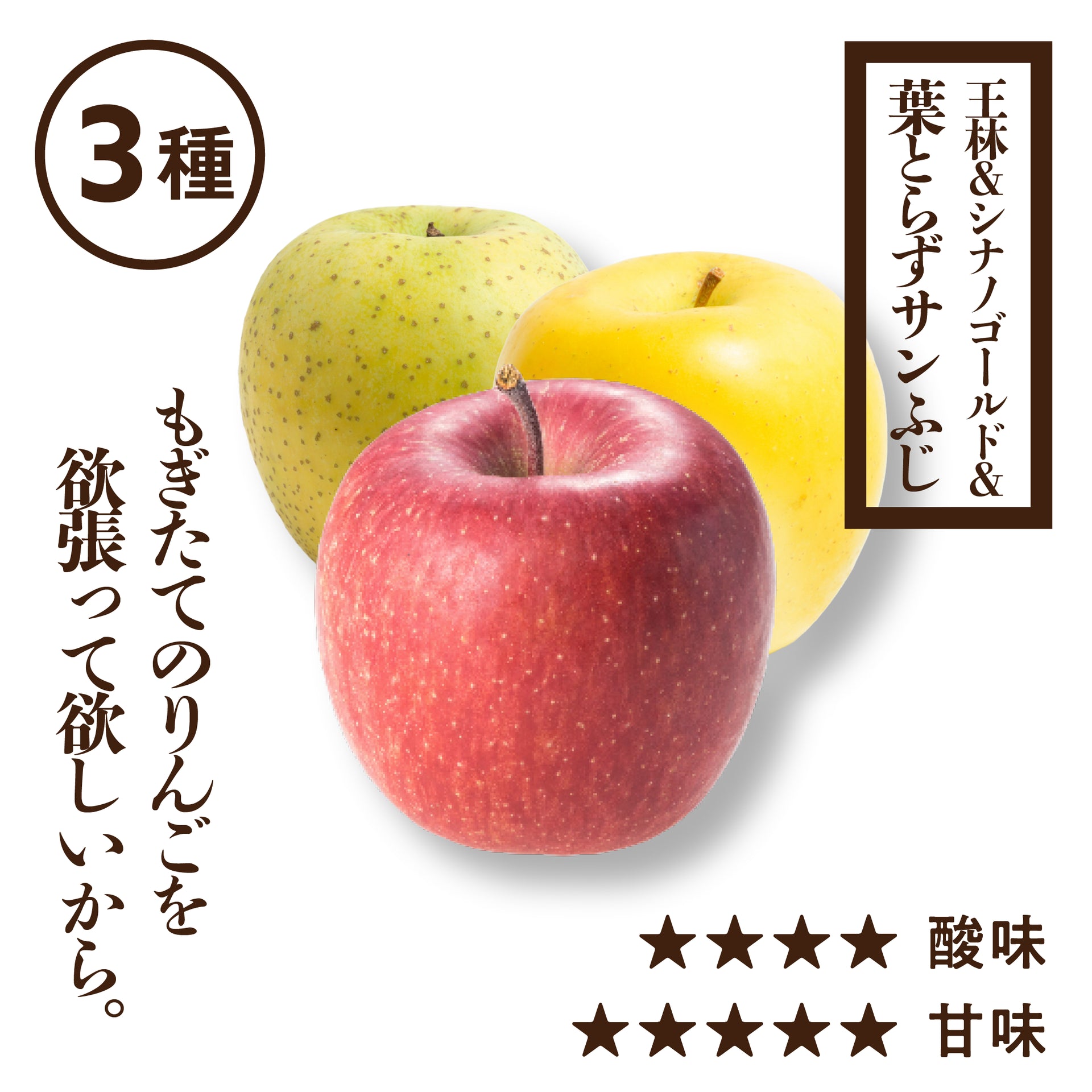 プレミアム3種詰め合わせ（ふじ、王林、シナノゴールド） | 産地直送