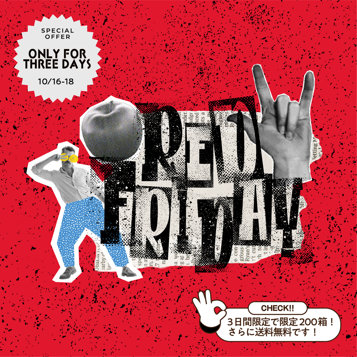 【RED FRIDAY限定】赤りんご詰め合わせ【送料無料】