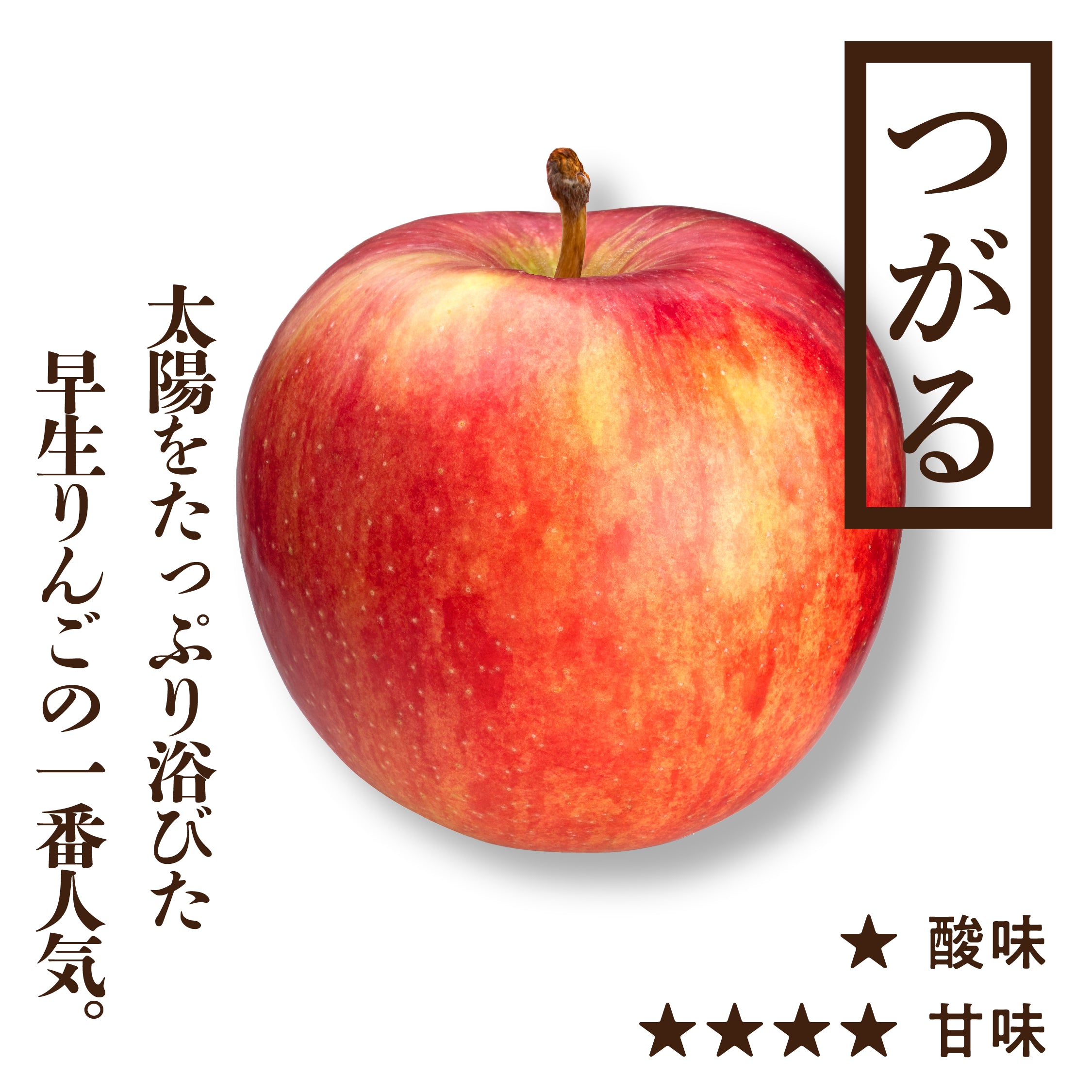 贈答用りんご – RED APPLE