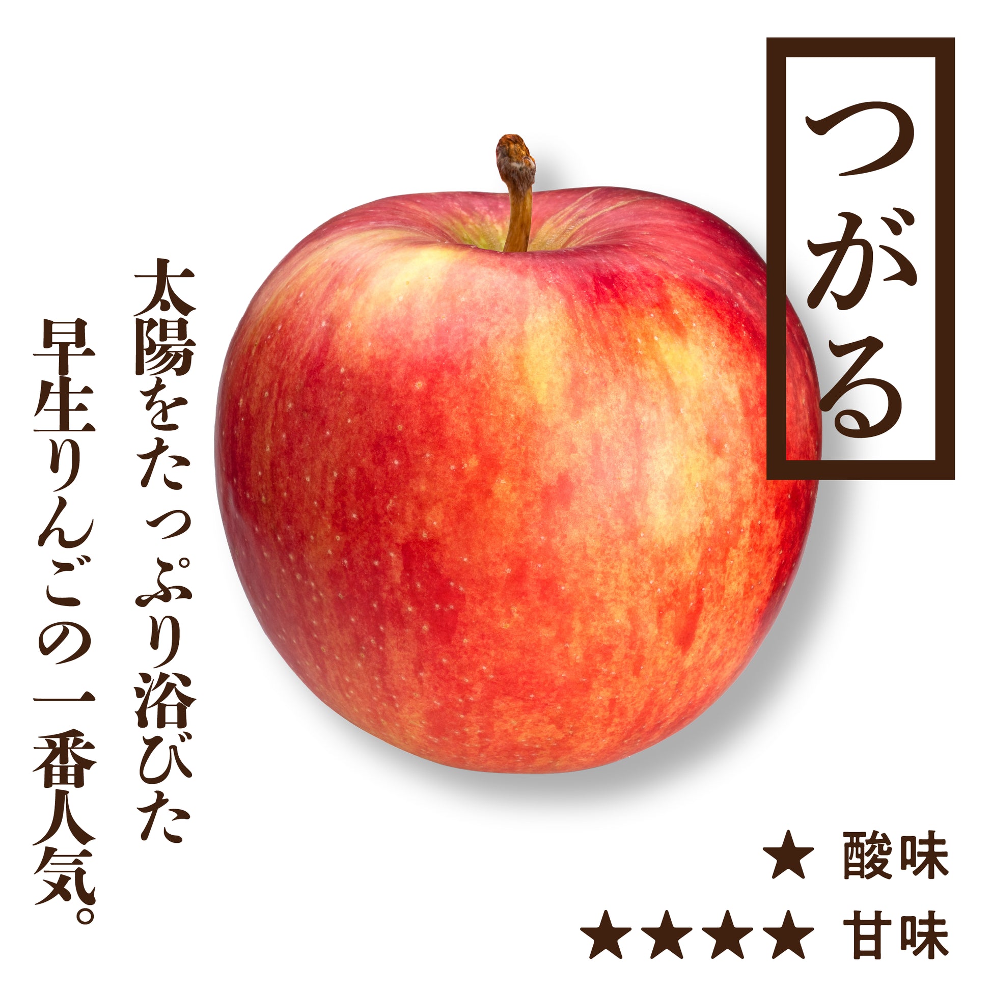 青森りんご つがる | 産地直送通販 | RED APPLE(レッドアップル)赤石農園 青森りんご つがる | 産地直送通販 | RED APPLE(レッドアップル)赤石農園