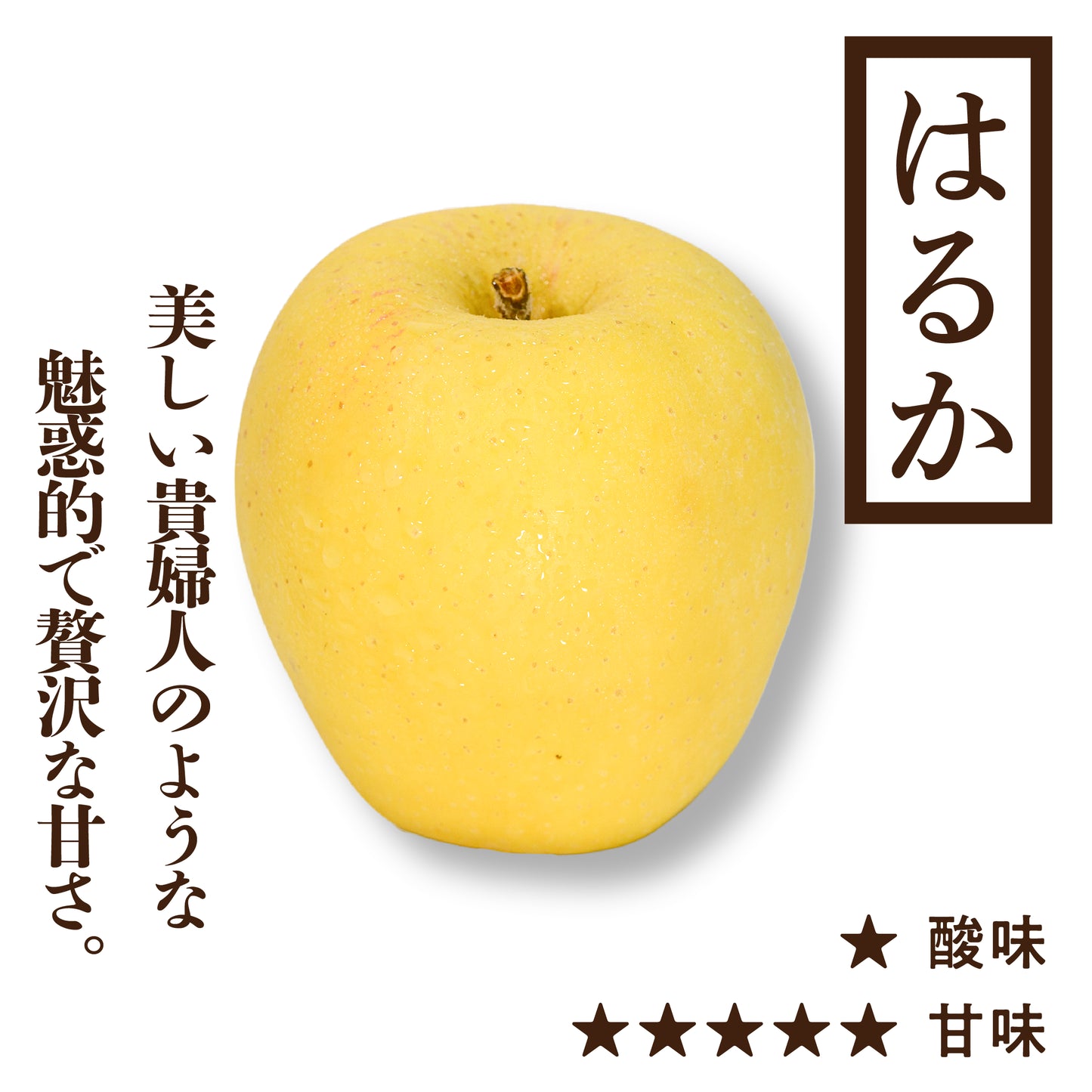 【新春特別企画】福箱りんご5kg  3種セット