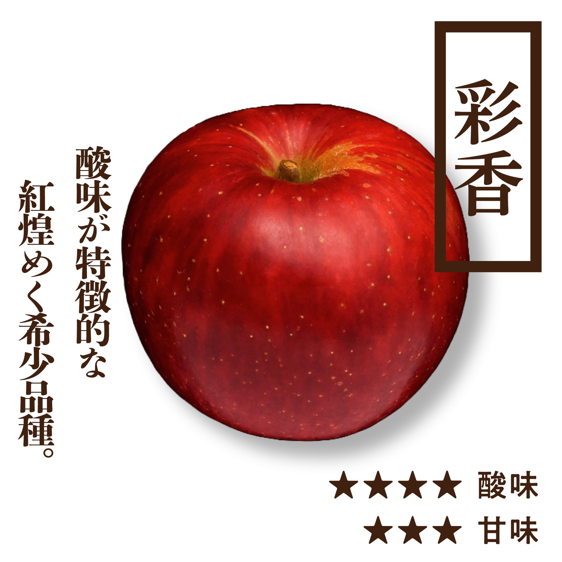 彩香(さいか) | 産地直送通販 | 青森りんご | RED APPLE（レッド