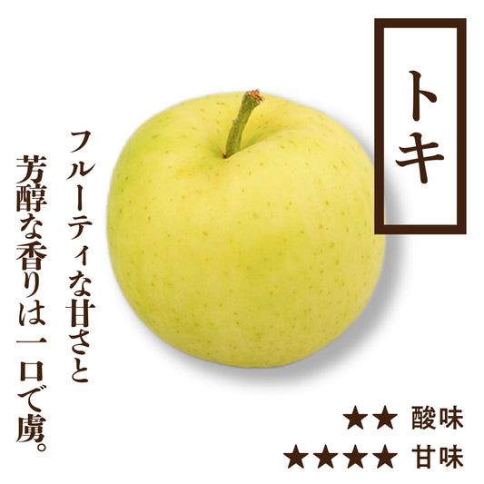 贈答用寒じめトキ　