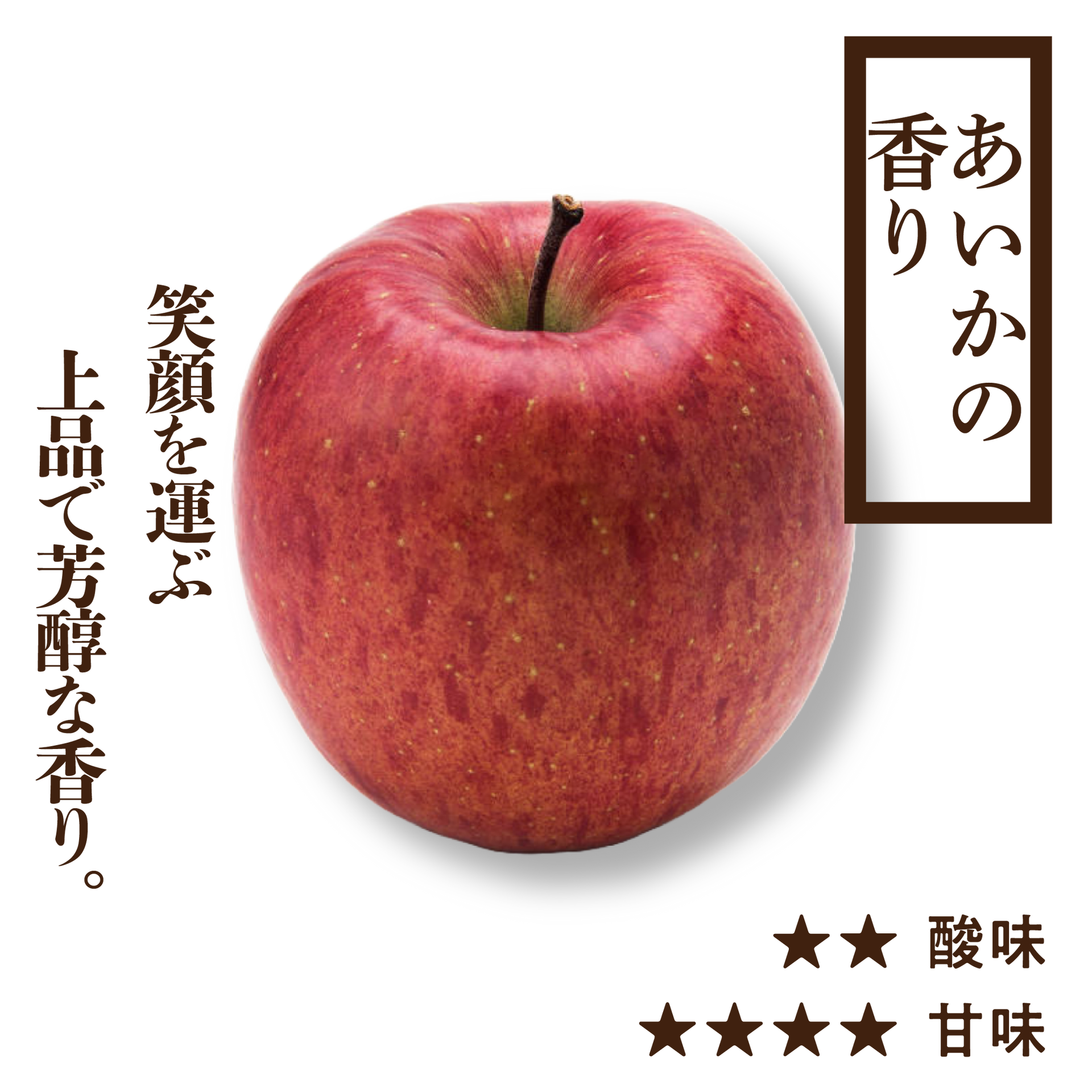 贈答用 あいかの香り | 産地直送通販 | 青森りんご | RED APPLE