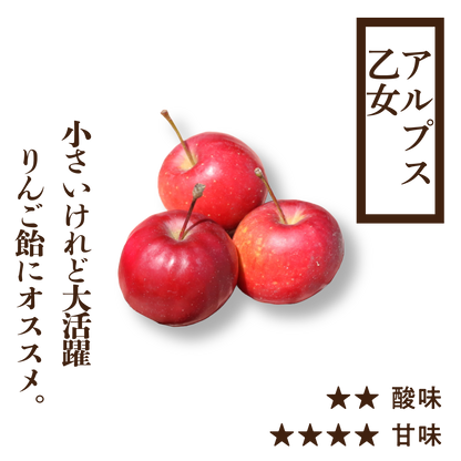 アルプス乙女