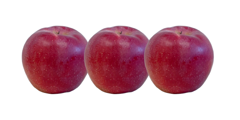 あおり25 | 希少品種 | 産地直送通販 | 青森りんご | RED APPLE あおり25 | 希少品種 | 産地直送通販 | 青森りんご | RED APPLE