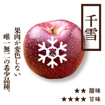 寒じめ 千雪(ちゆき) | 希少品種 |産地直送通販 | 青森りんご | RED