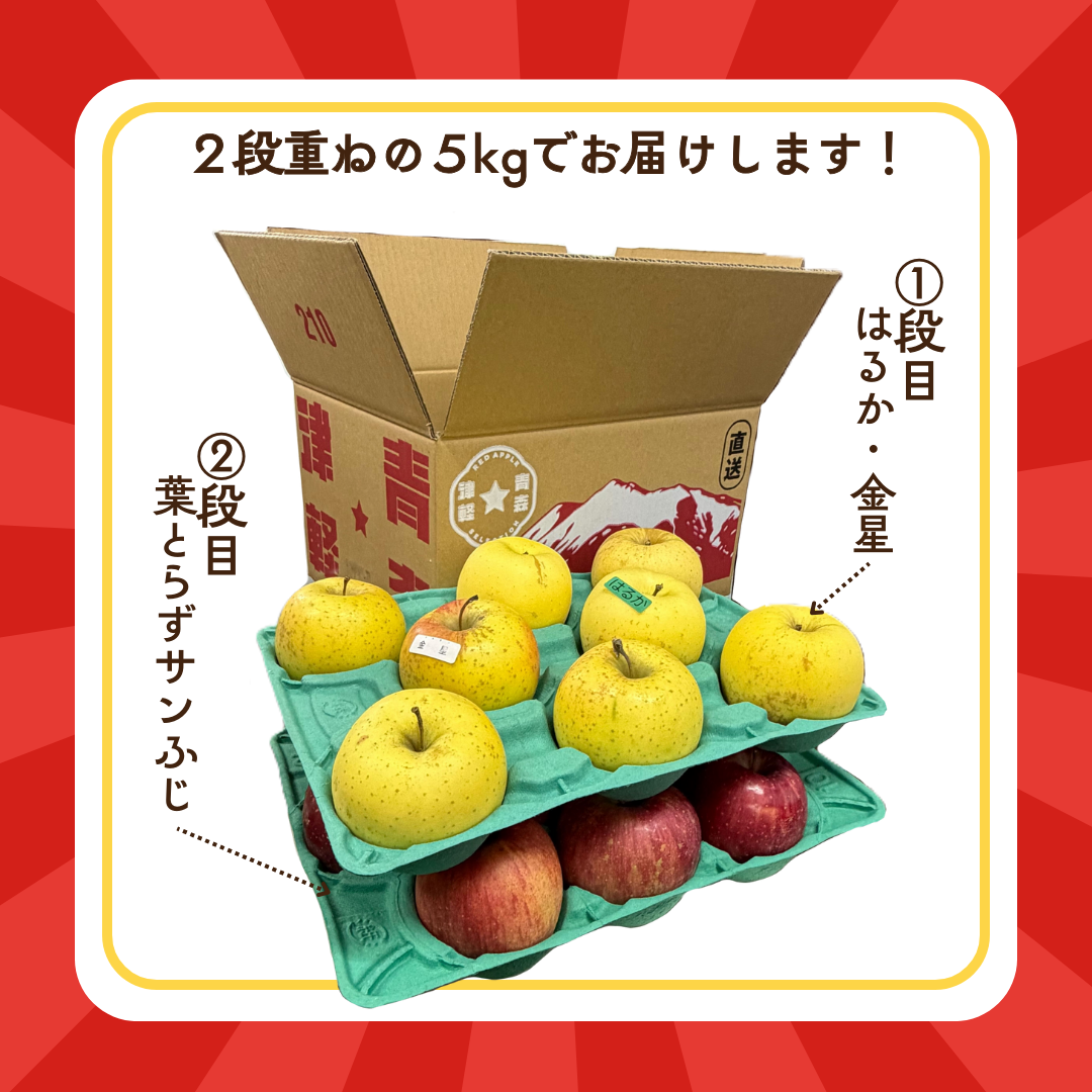 【新春特別企画】福箱りんご5kg  3種セット