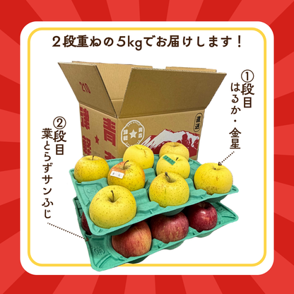 【新春特別企画】福箱りんご5kg  3種セット