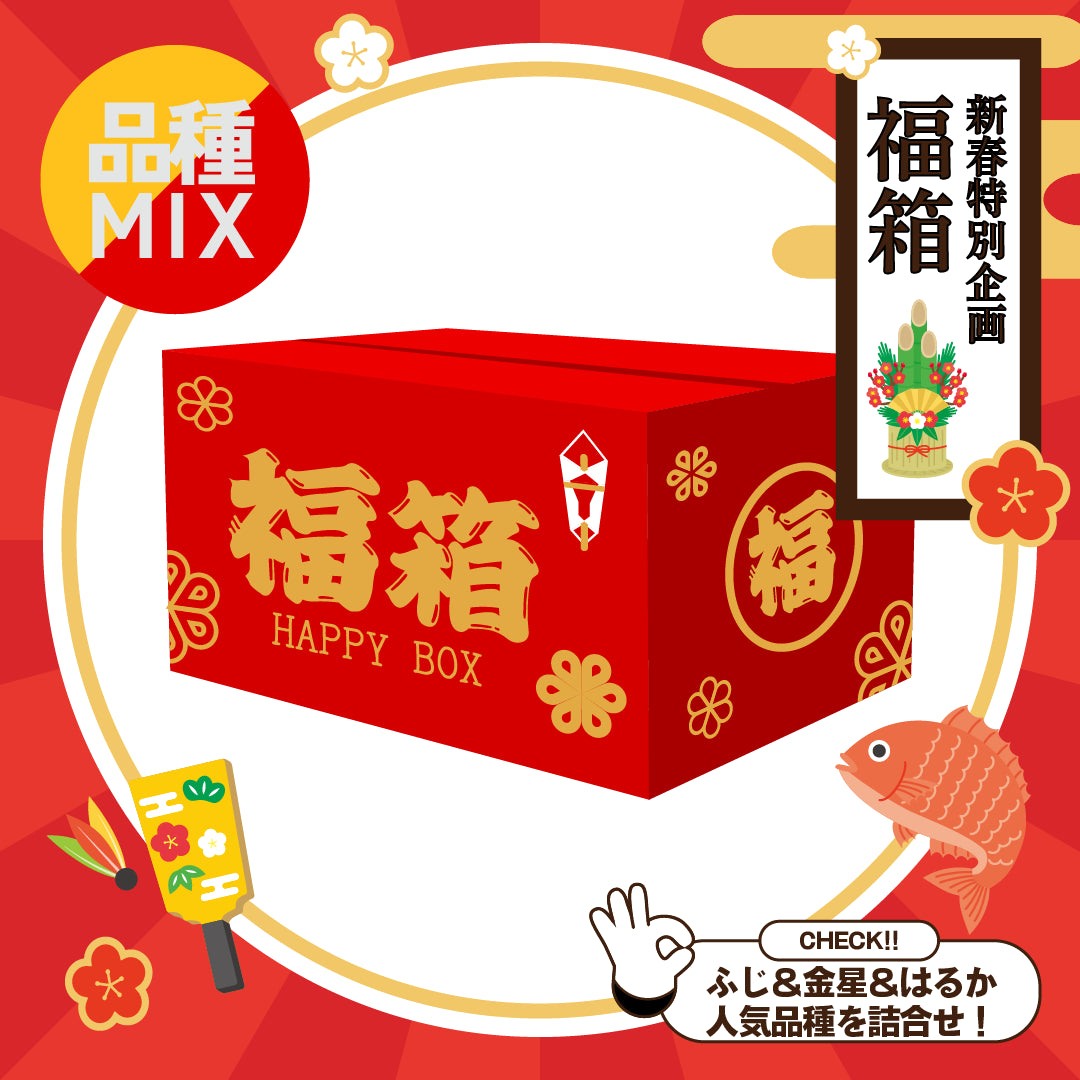 【新春特別企画】福箱りんご5kg  3種セット