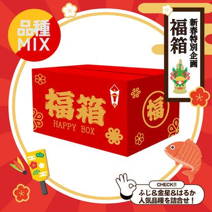 【新春特別企画】福箱りんご5kg  3種セット