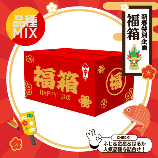 【新春特別企画】福箱りんご5kg  3種セット