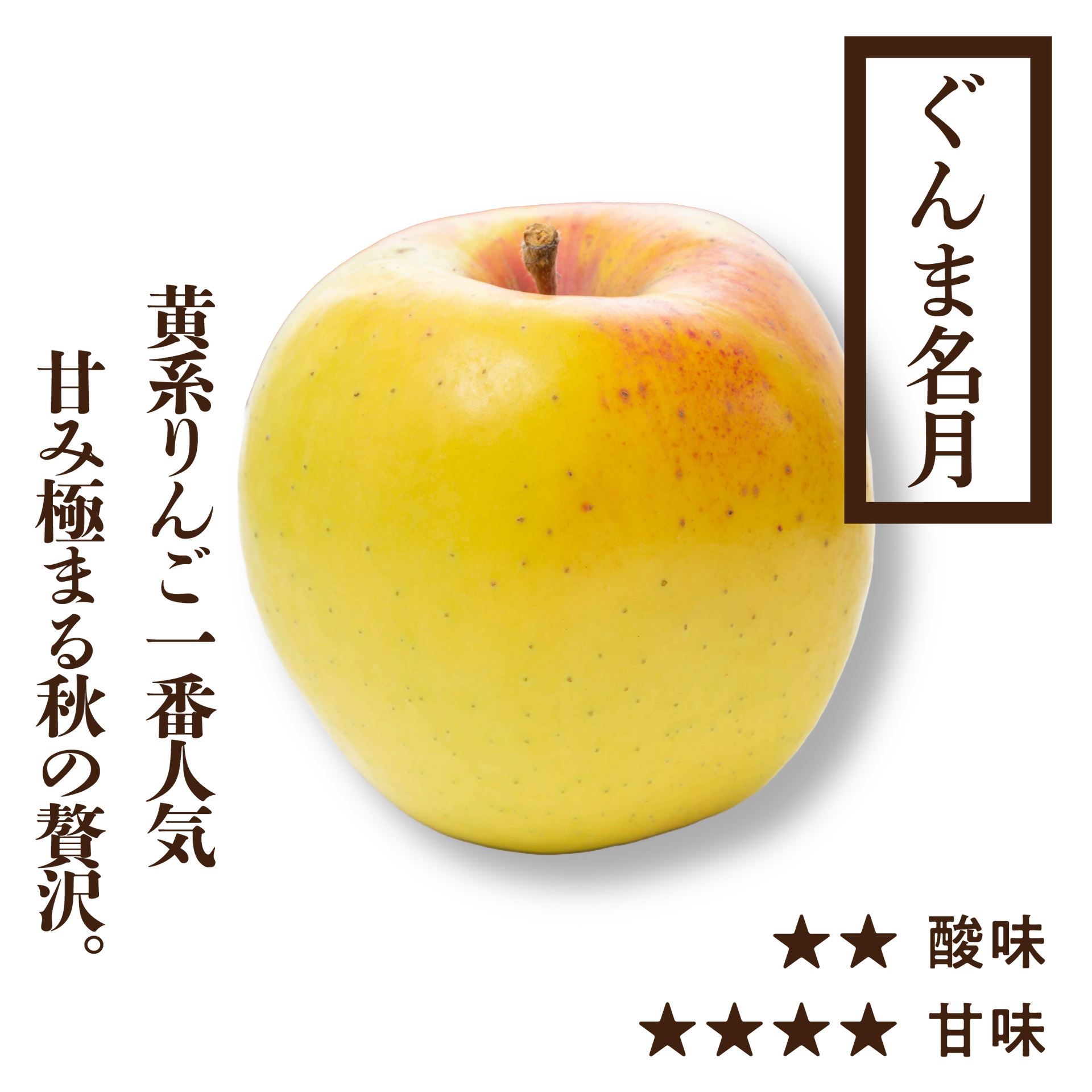 ぐんま名月 | 産地直送通販 | 青森りんご | RED APPLE(レッドアップル ぐんま名月 | 産地直送通販 | 青森りんご | RED APPLE(レッドアップル