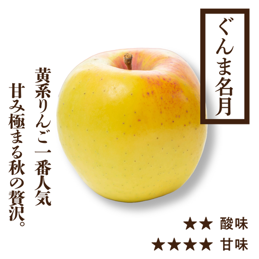 寒じめぐんま名月